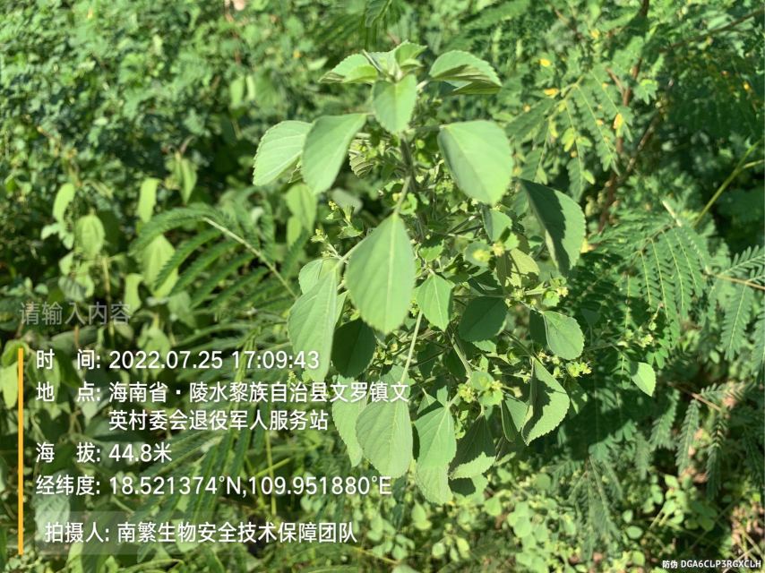请输入内容…