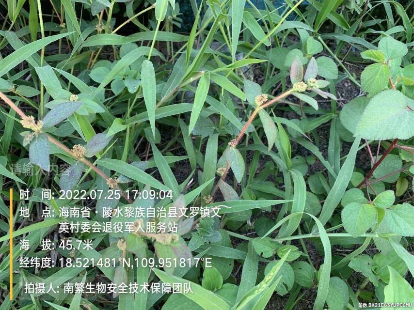 请输入内容…