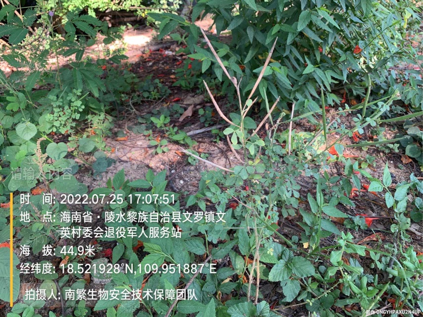 请输入内容…