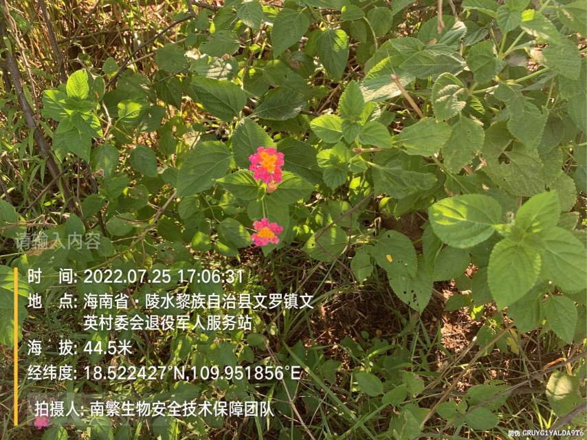 请输入内容…