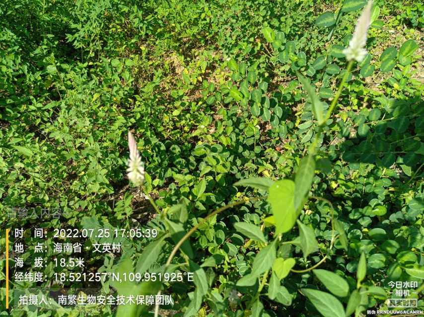 请输入内容…