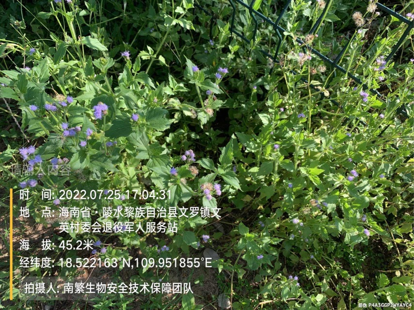 请输入内容…