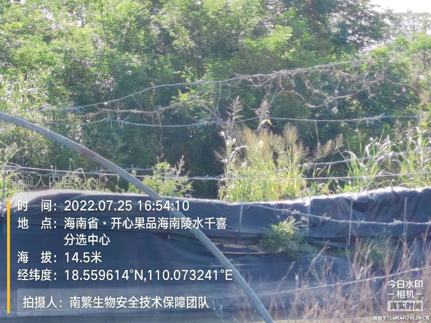 请输入内容…
