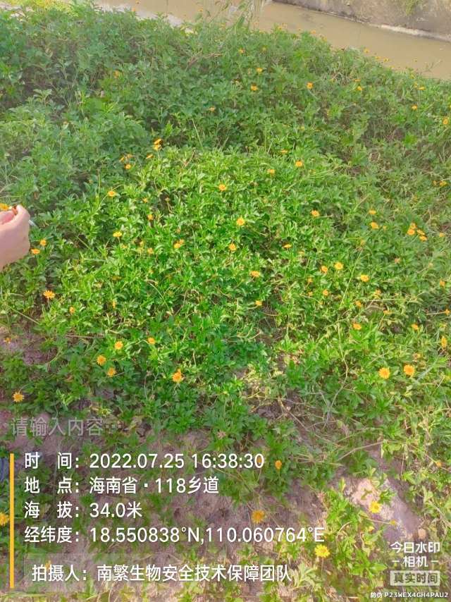 请输入内容…