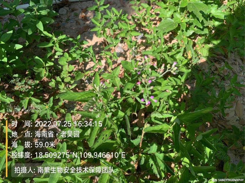 请输入内容…