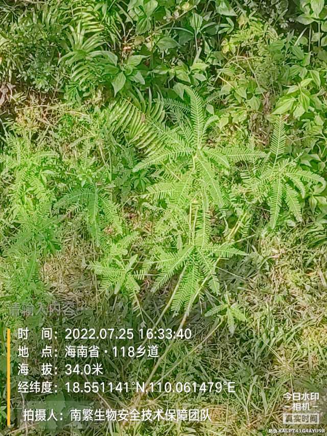 请输入内容…