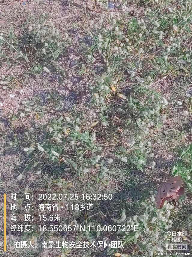 请输入内容…