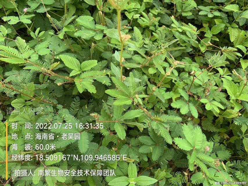 请输入内容…