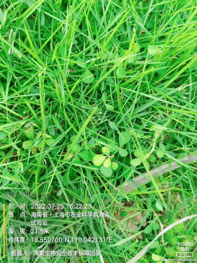请输入内容…