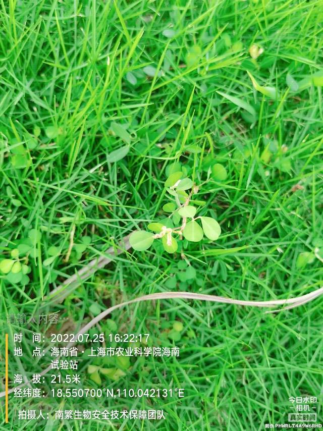 请输入内容…