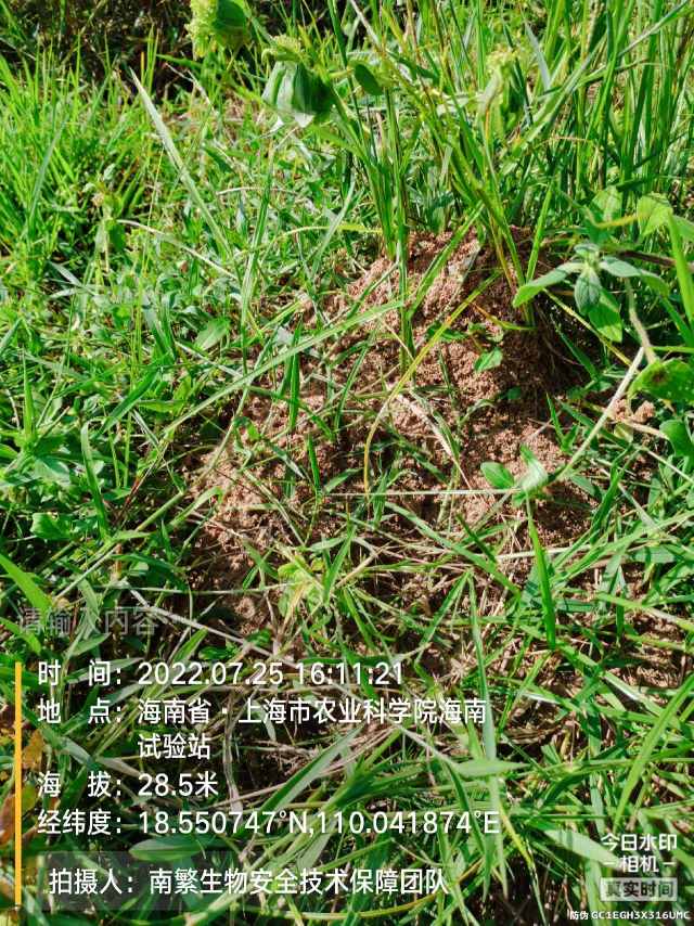 请输入内容…