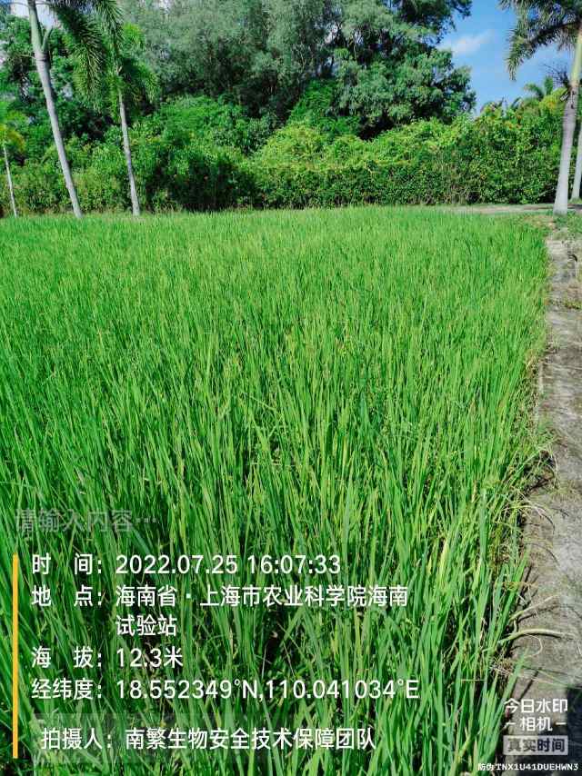 请输入内容…