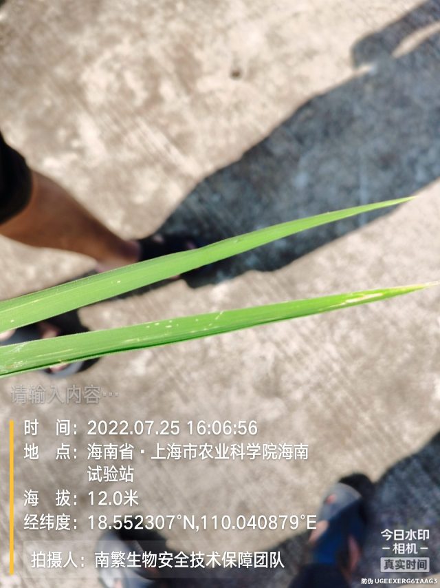 请输入内容…