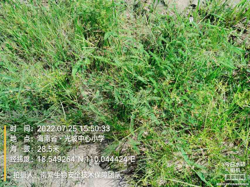 请输入内容…