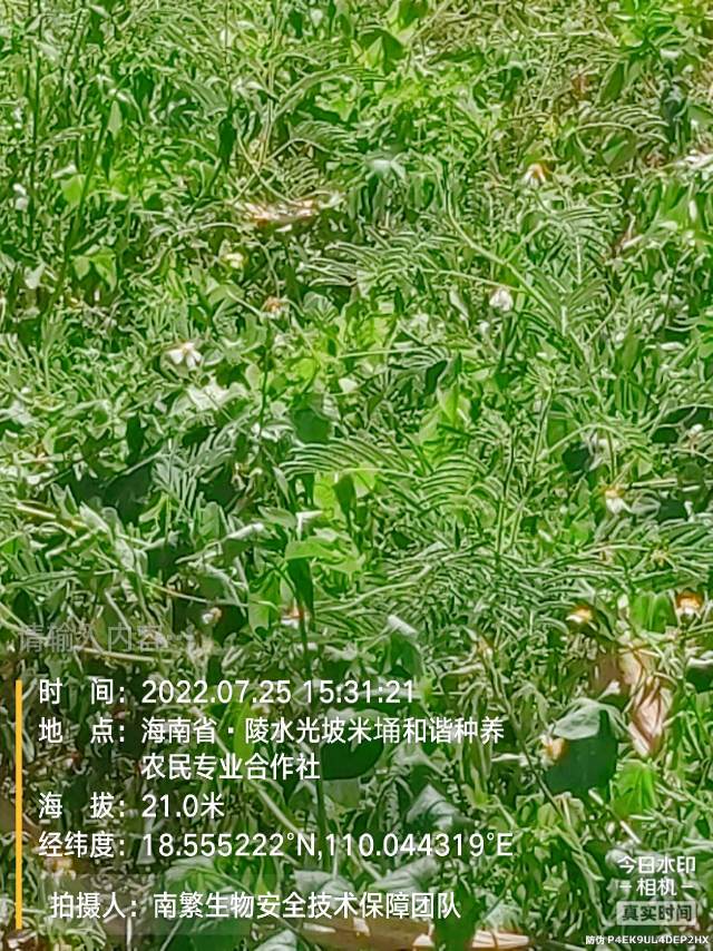 请输入内容…