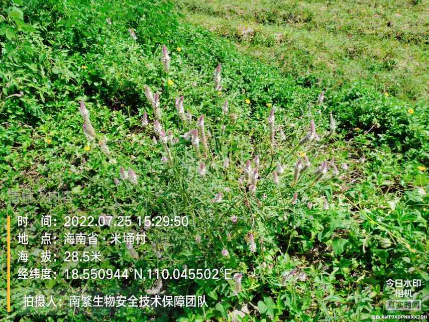 请输入内容…