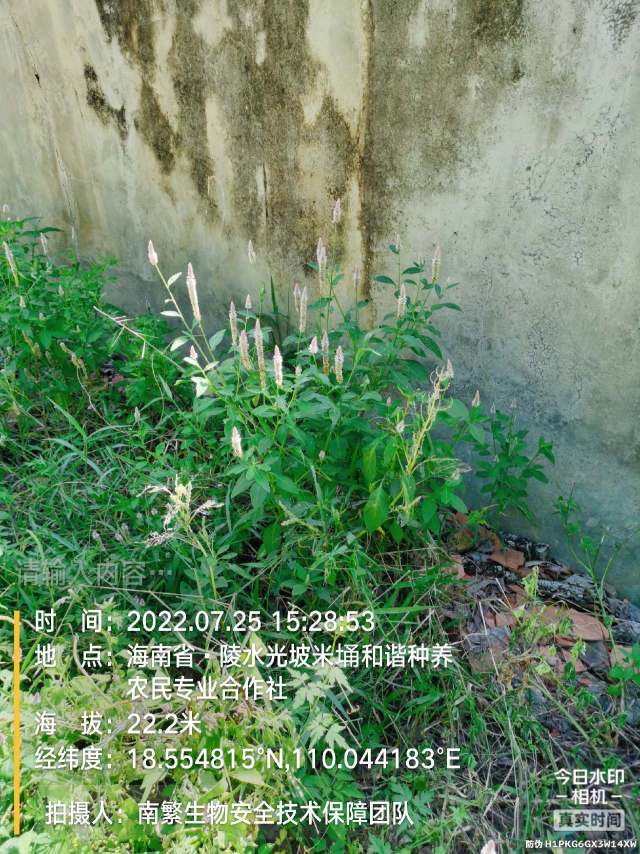 请输入内容…