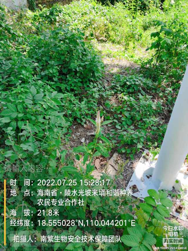 请输入内容…