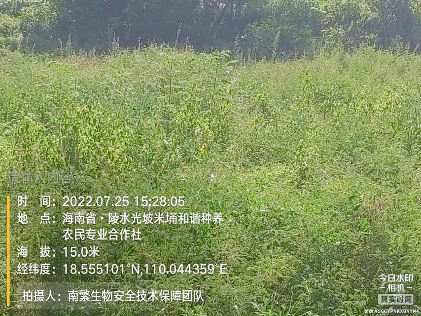 请输入内容…