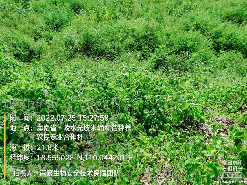 请输入内容…