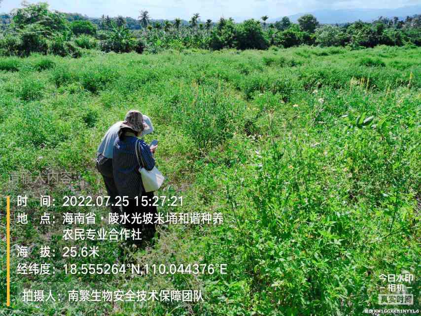 请输入内容…