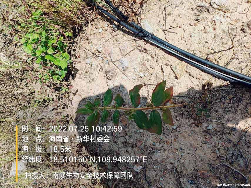 请输入内容…