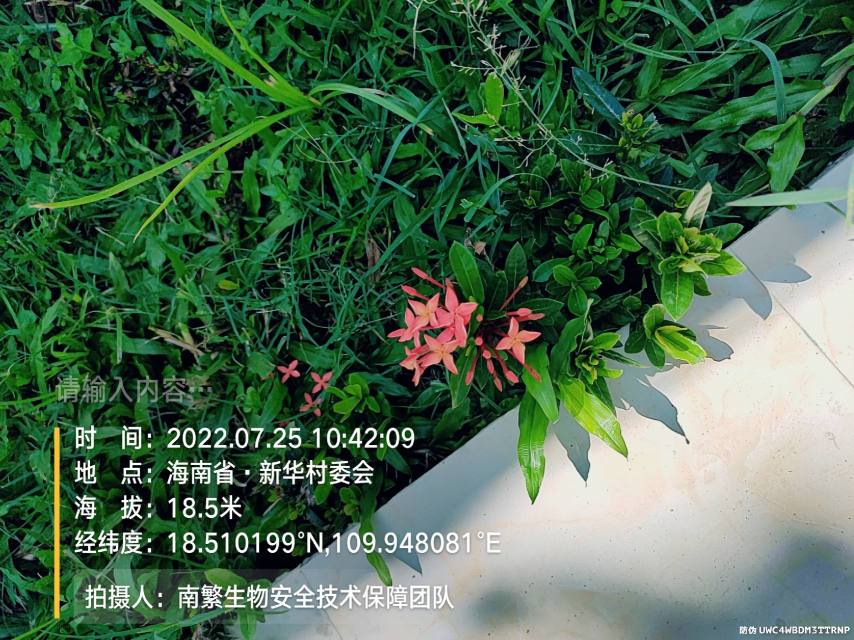 请输入内容…