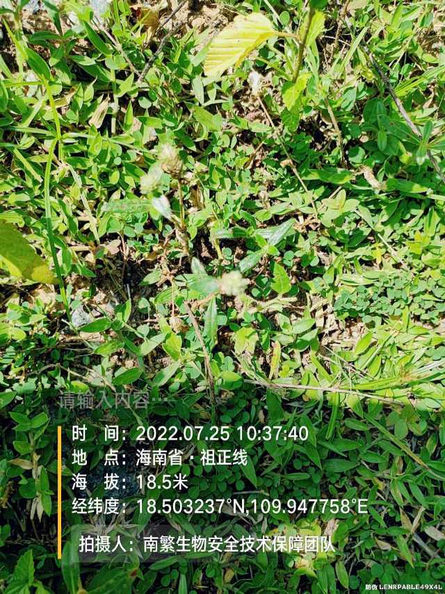 请输入内容…