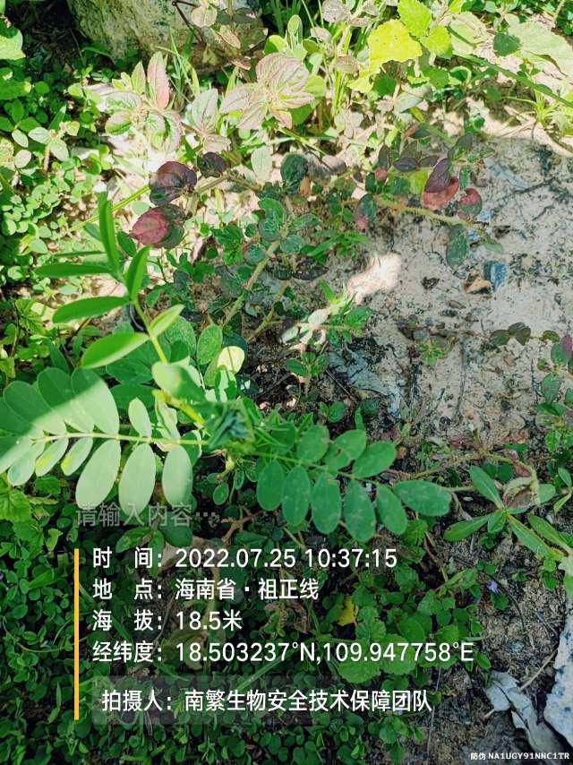 请输入内容…