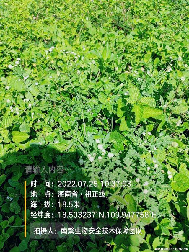 请输入内容…