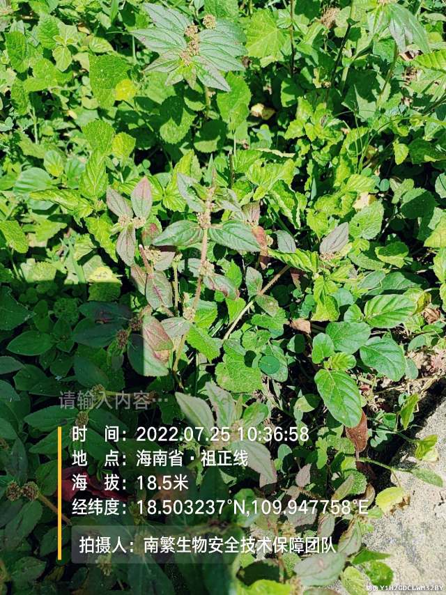 请输入内容…