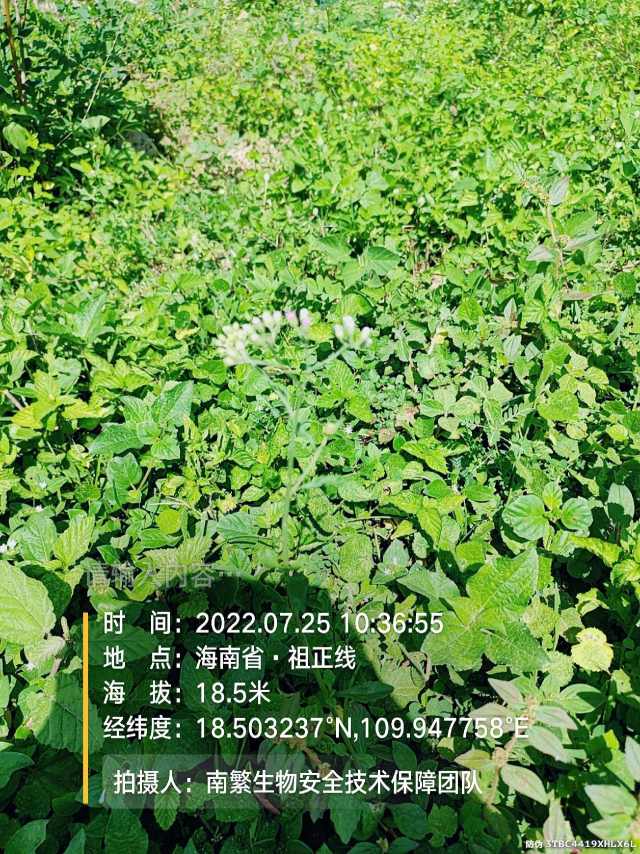 请输入内容…