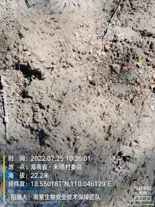 请输入内容…