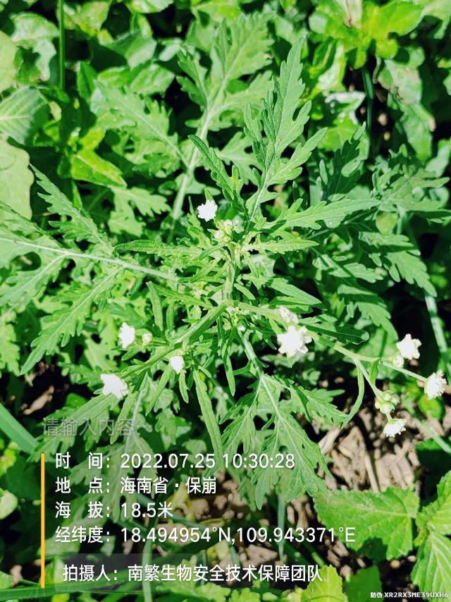 请输入内容…