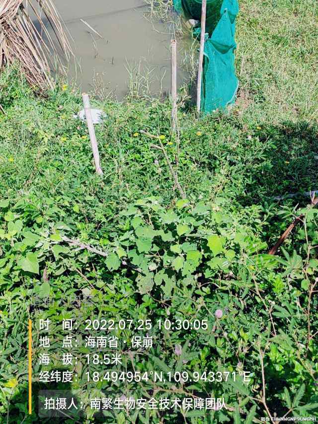 请输入内容…