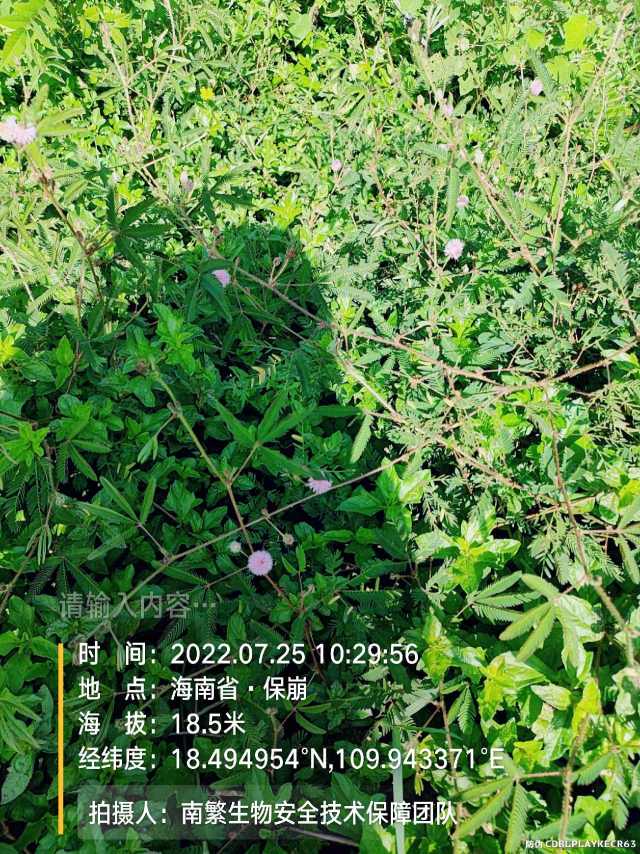 请输入内容…