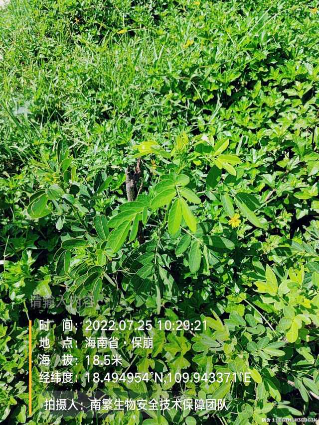 请输入内容…