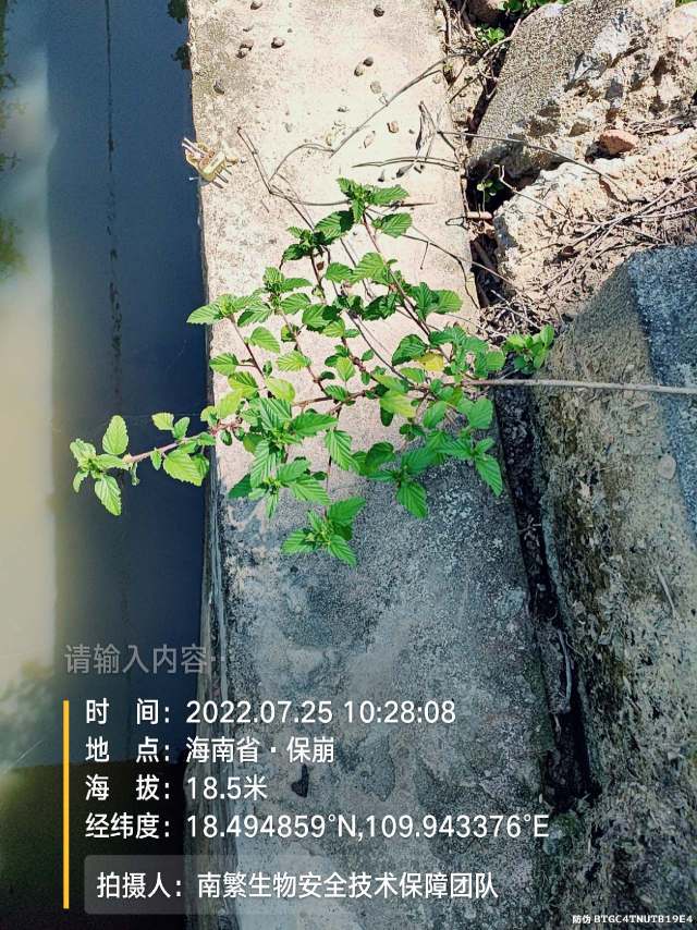 请输入内容…