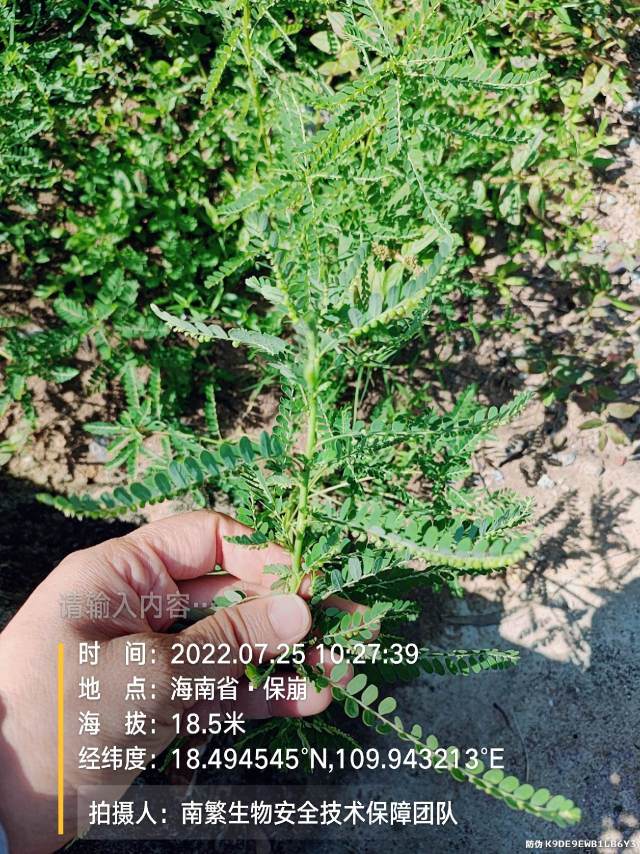 请输入内容…
