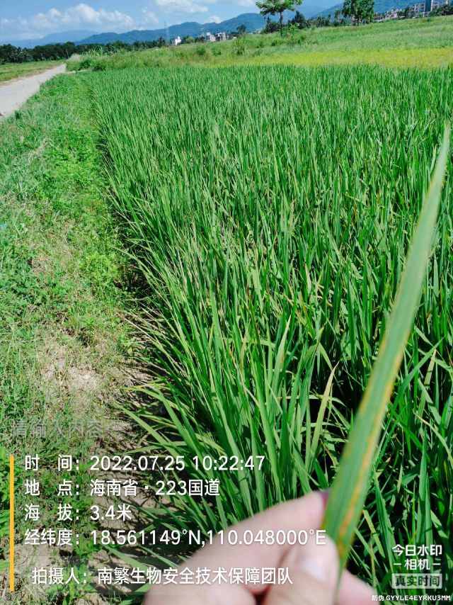 请输入内容…