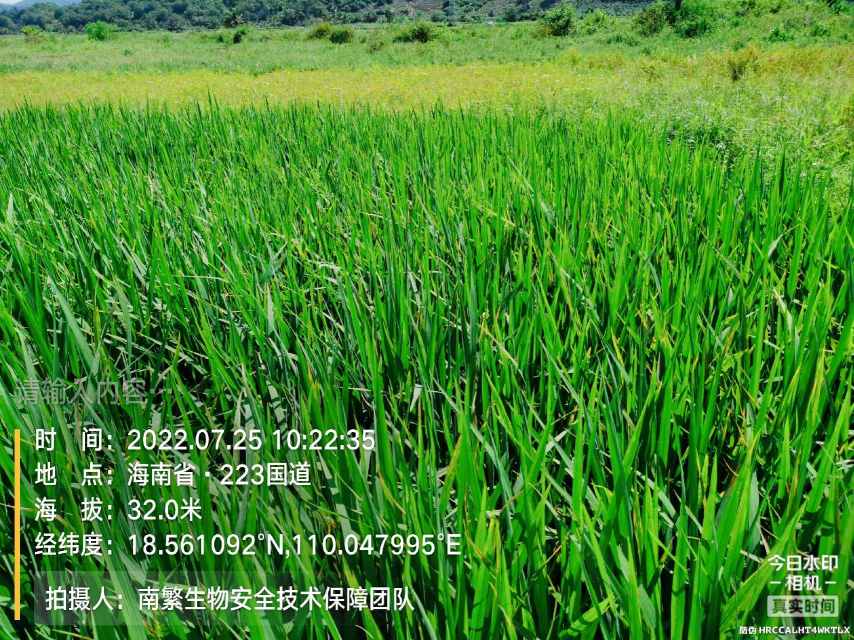 请输入内容…