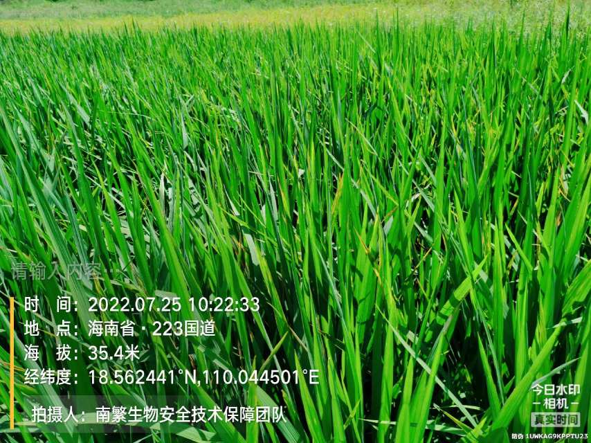 请输入内容…