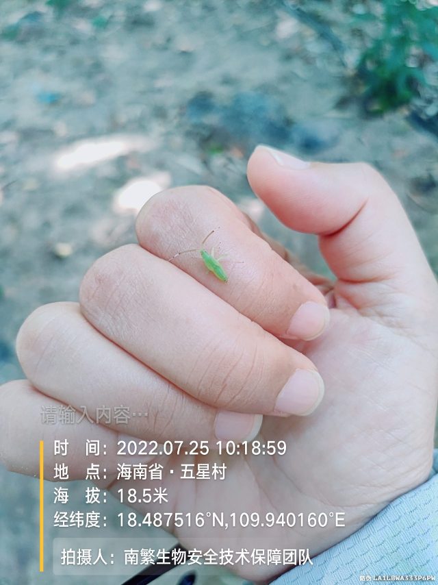 请输入内容…