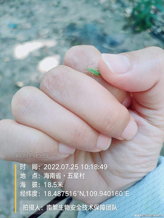 请输入内容…