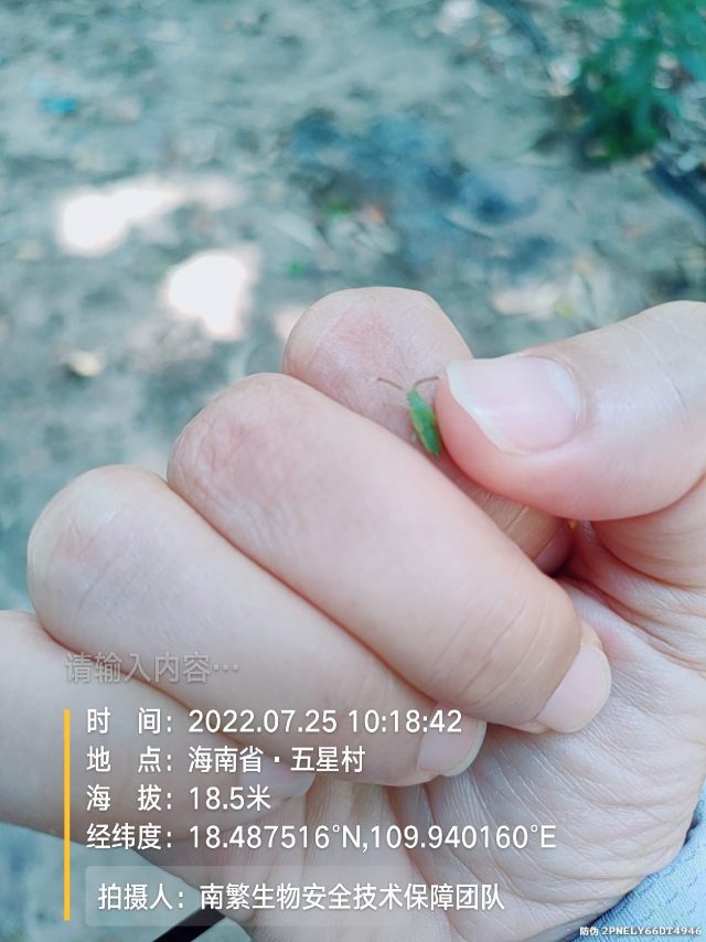 请输入内容…