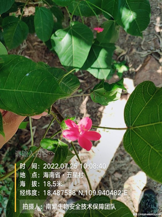 请输入内容…