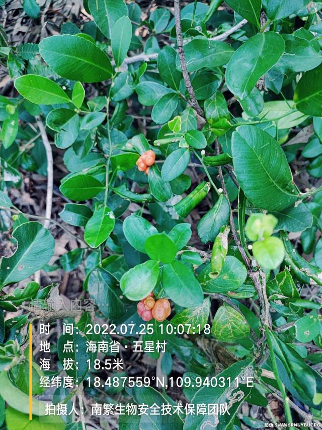 请输入内容…