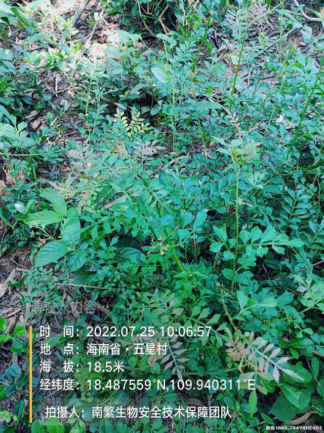 请输入内容…