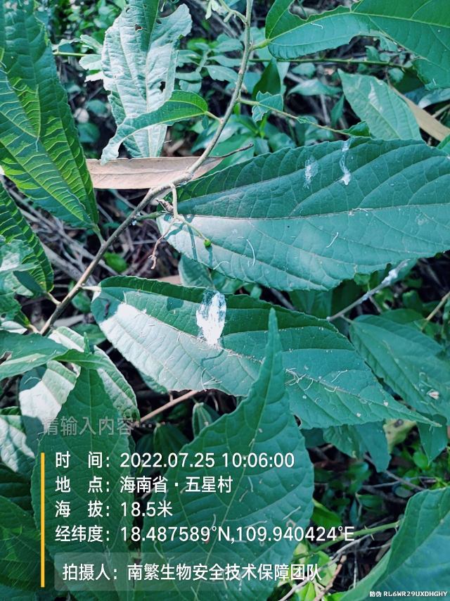 请输入内容…