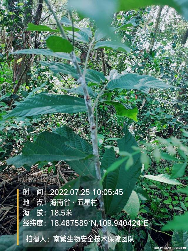 请输入内容…